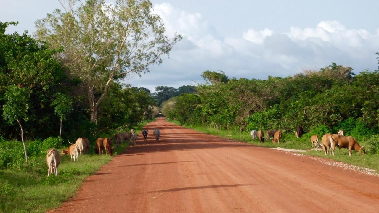 Le Kibalaou Acomodação com café da manhã Cap Skirring Exterior foto